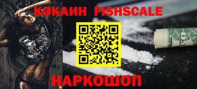 индика Дубна