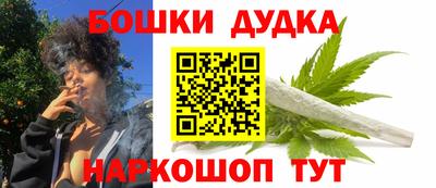 индика Дубна