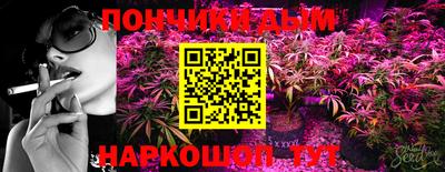 индика Дубна