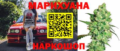 индика Дубна
