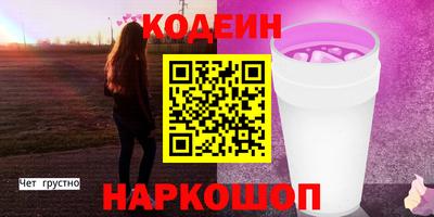 индика Дубна