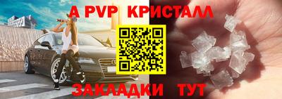 индика Дубна