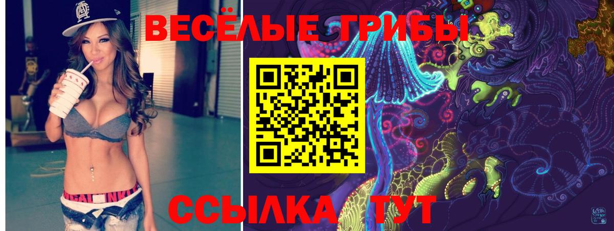 Мариинск  Псилоцибиновые грибы Psilocybine cubensis  Вход с VPN 